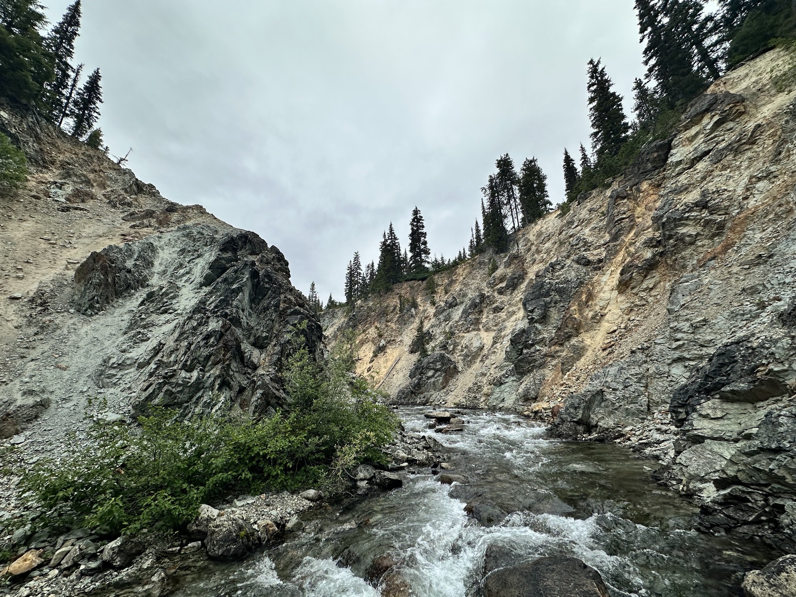 Owl Creek canyon — exposed rock walls above the creek, north of Pemberton, BC
