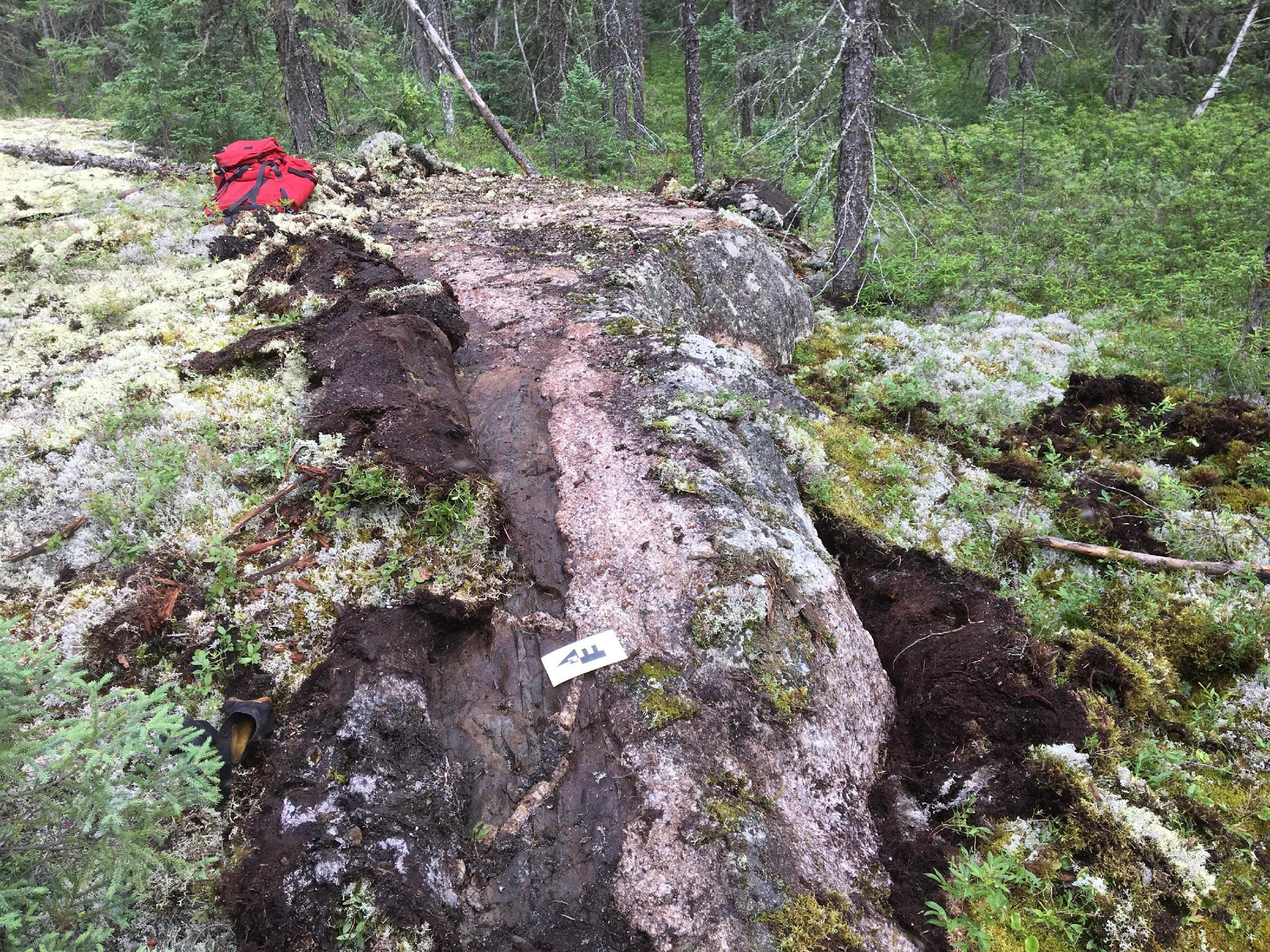 Spodumene-bearing pegmatite outcrop, Ear Falls