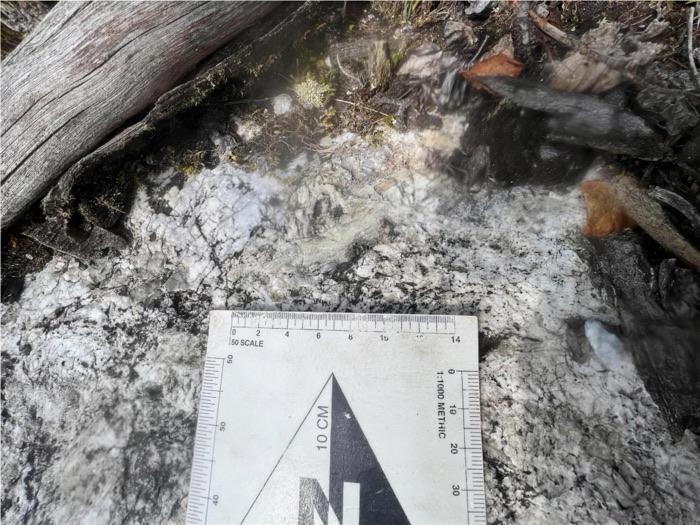 Spodumene mineralization in outcrop with scale card