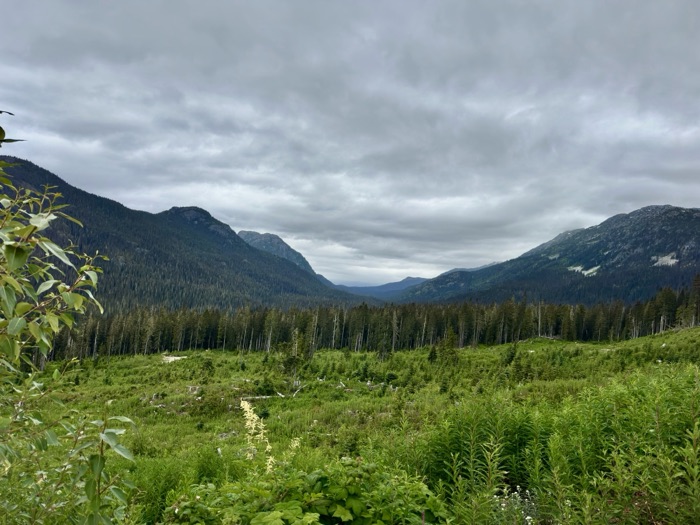 Owl Creek valley looking toward the Coast Mountains