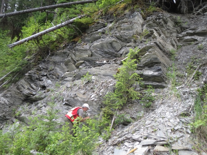 Geologist examining foliated outcrop on the Rare One Project