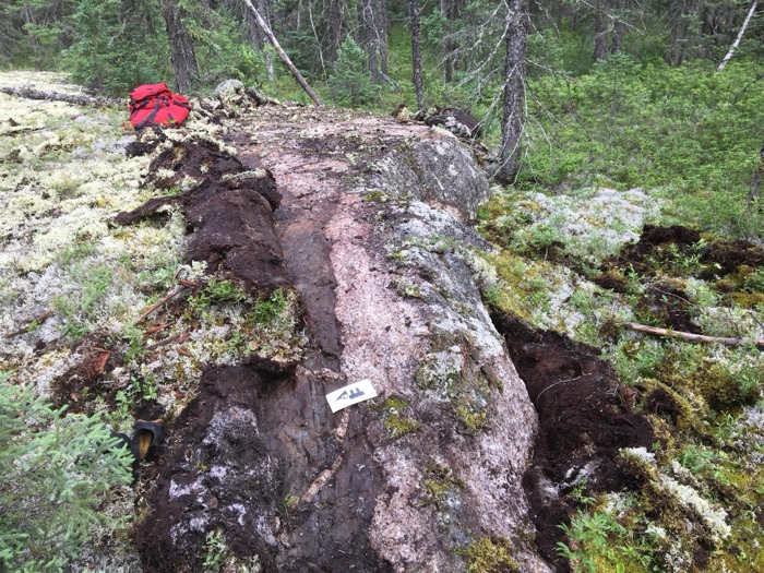Exposed spodumene-bearing pegmatite outcrop